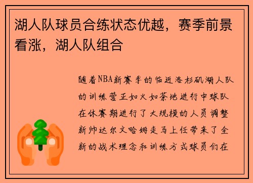 湖人队球员合练状态优越，赛季前景看涨，湖人队组合