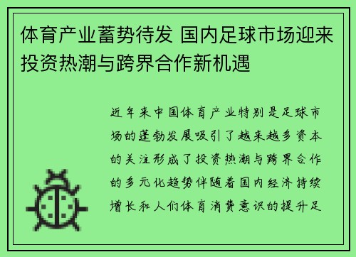 体育产业蓄势待发 国内足球市场迎来投资热潮与跨界合作新机遇
