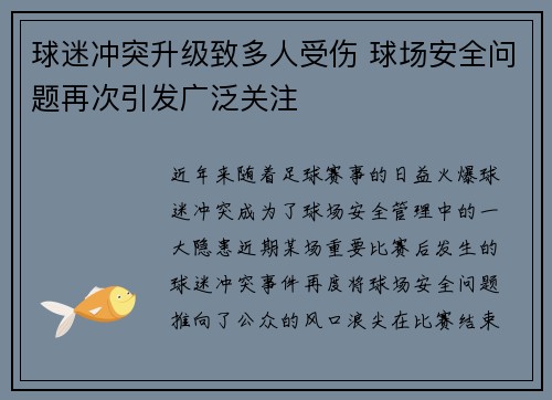 球迷冲突升级致多人受伤 球场安全问题再次引发广泛关注